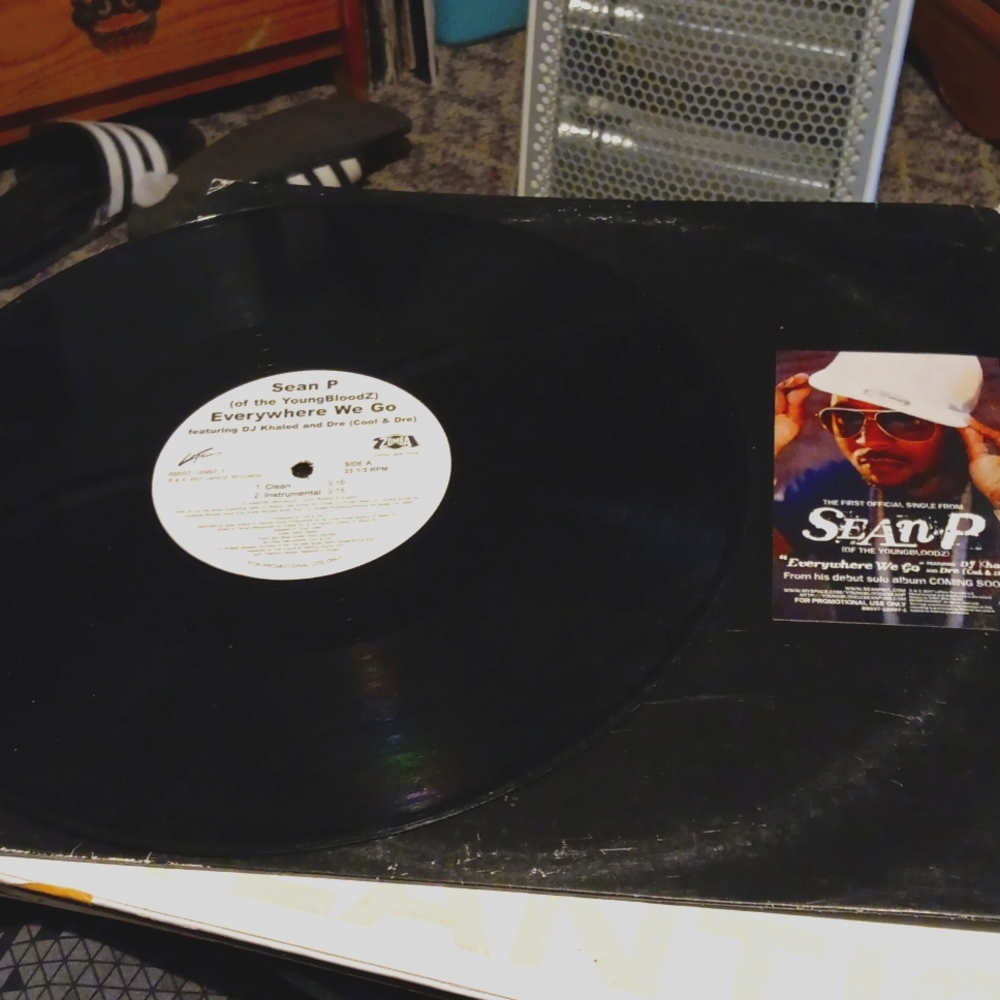 Vinyl record